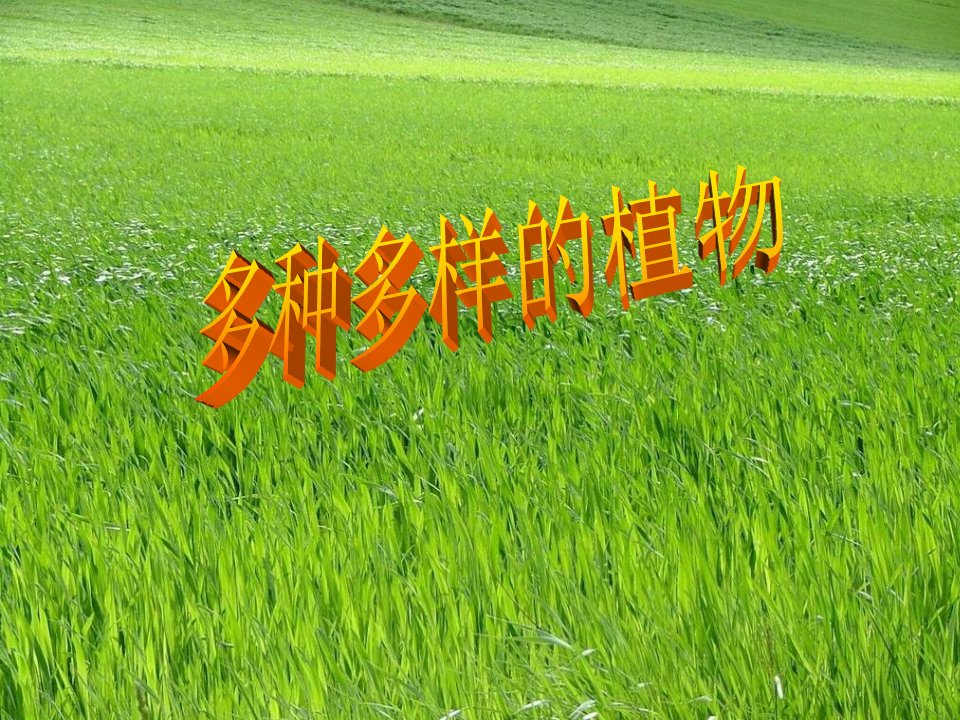 六年级多种多样的植物.PPT