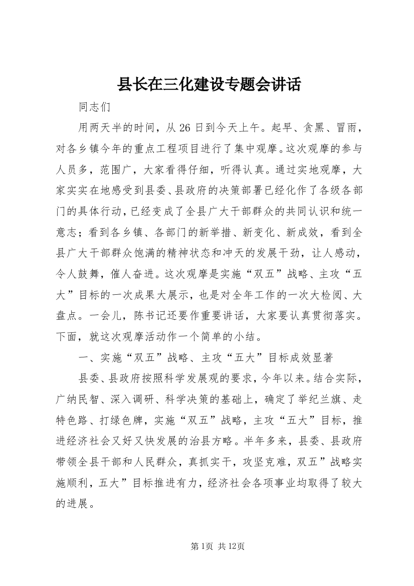 县长在三化建设专题会讲话