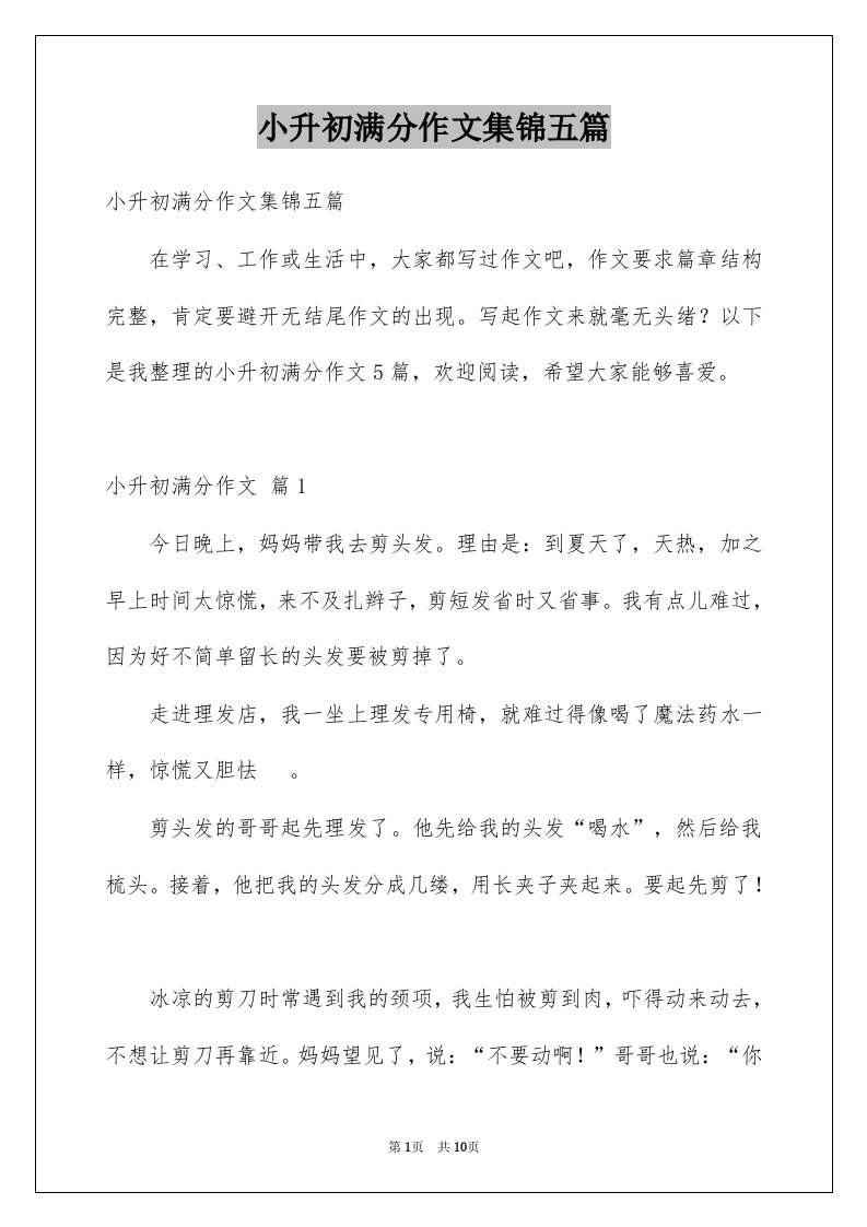 小升初满分作文集锦五篇汇编