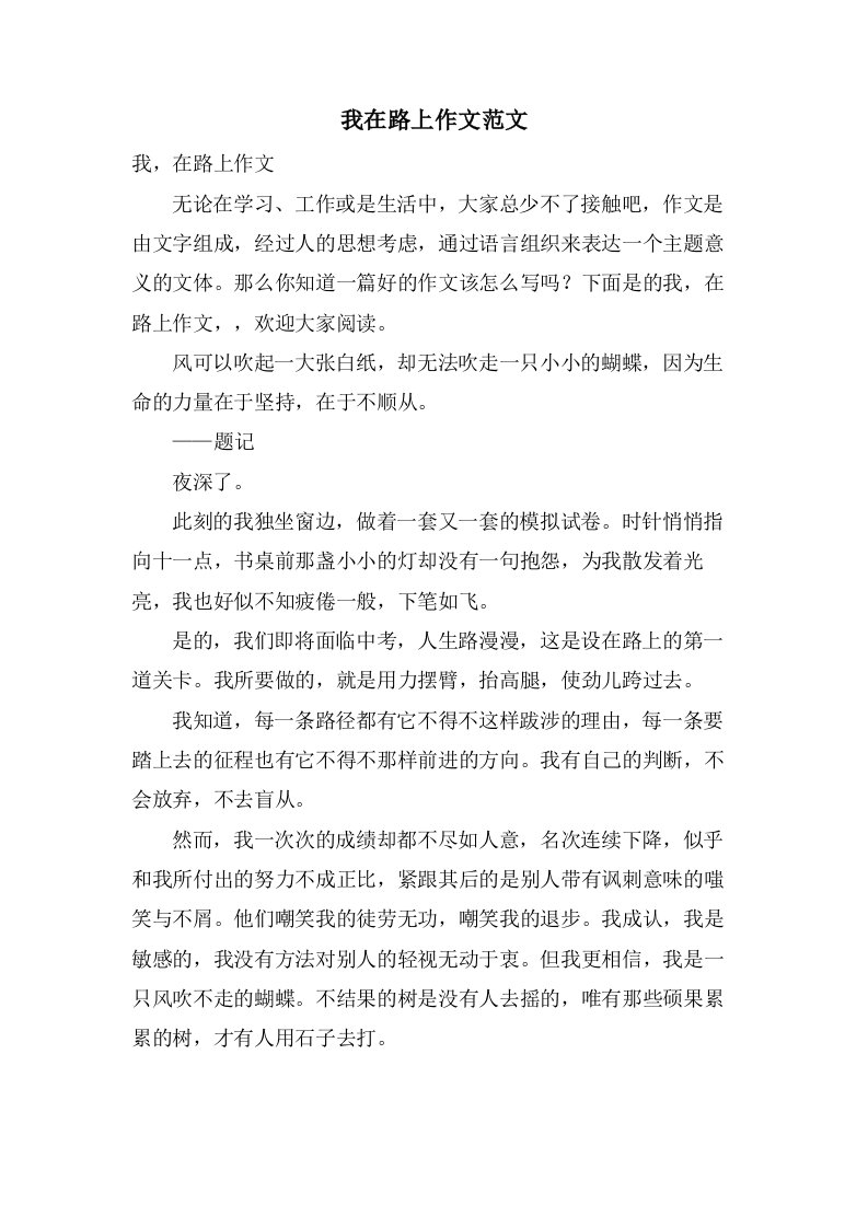 我在路上作文范文