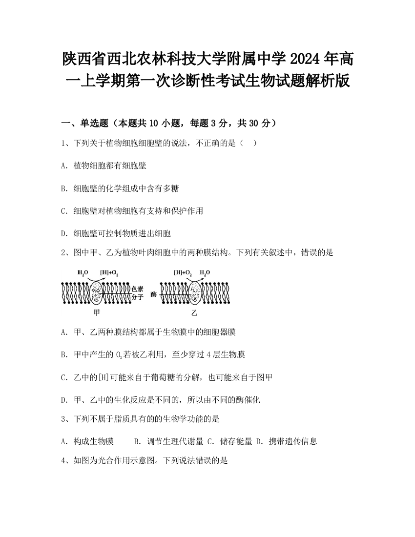 陕西省西北农林科技大学附属中学2024年高一上学期第一次诊断性考试生物试题解析版