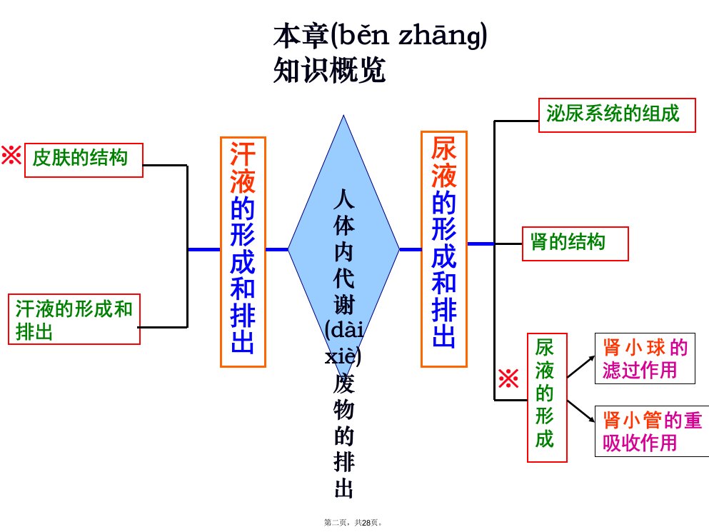 人体内代谢废物的排出复习教学内容