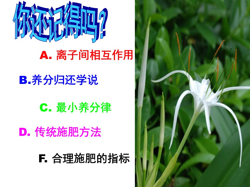 第9章植物的氮素营养与氮肥施