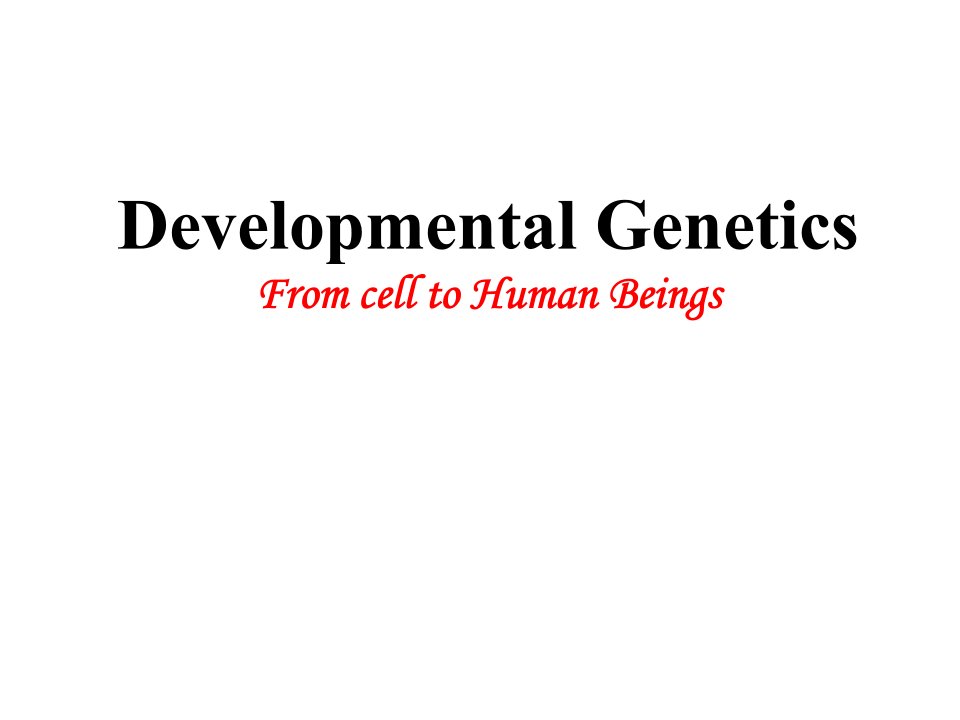 医学遗传学课件：Developmental