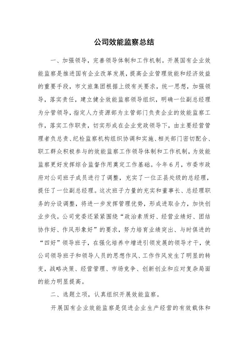 公司效能监察总结