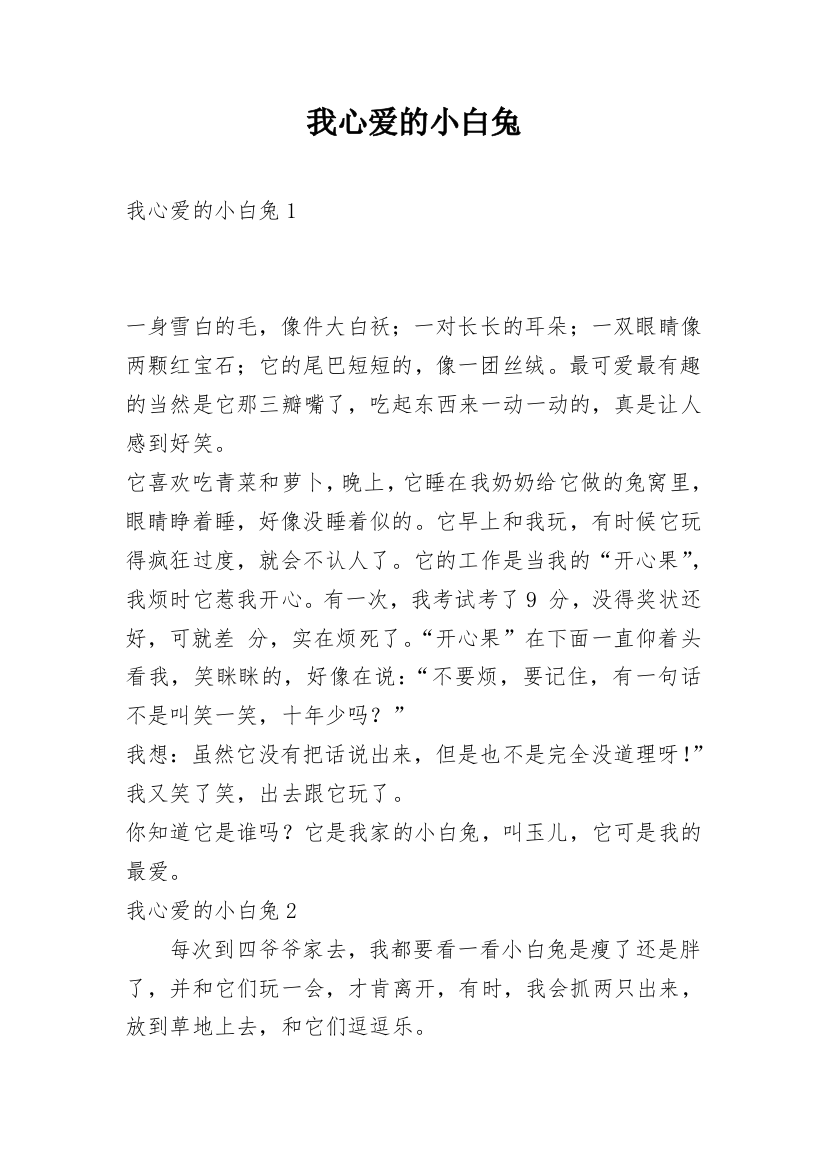 我心爱的小白兔