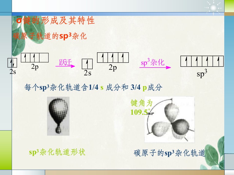 课烷烃环烷烃的构象