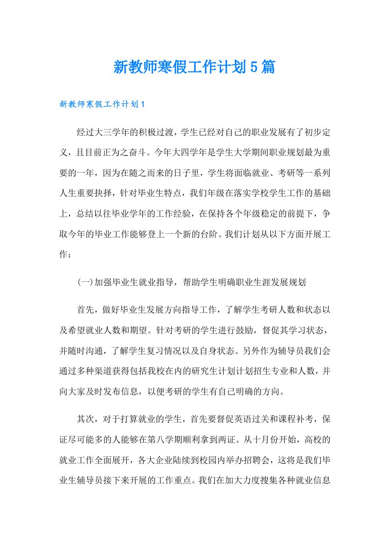 新教师寒假工作计划5篇