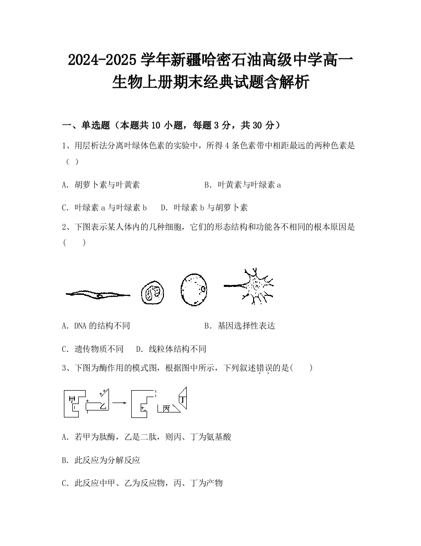 2024-2025学年新疆哈密石油高级中学高一生物上册期末经典试题含解析