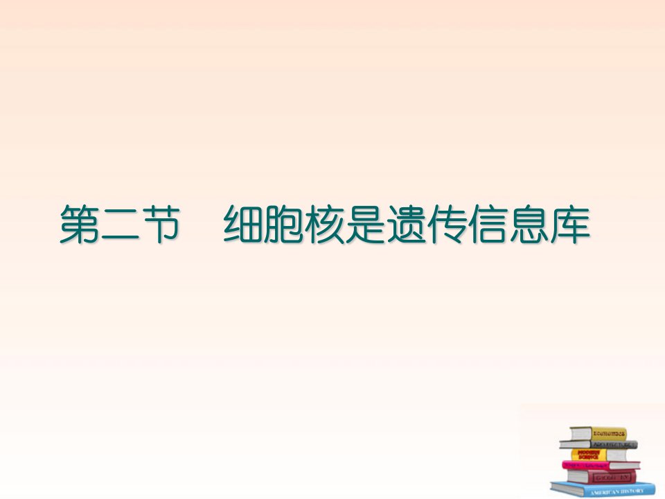 七年级生物上册细胞核是遗传信息库课件人教新课标版