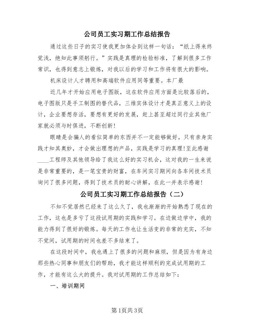 公司员工实习期工作总结报告（2篇）