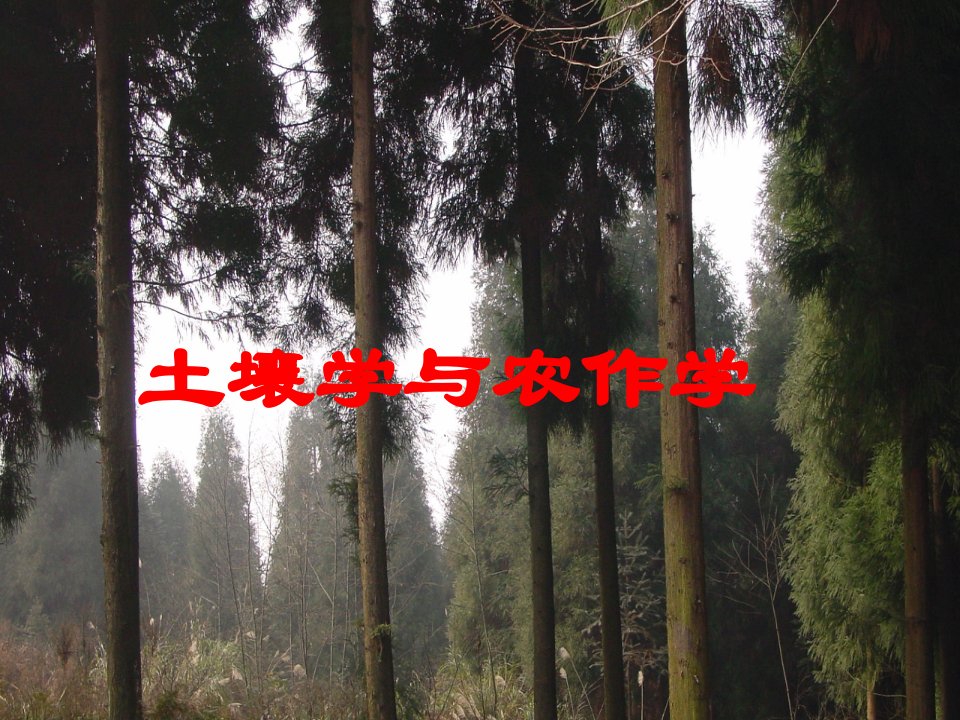 土壤学与农作学