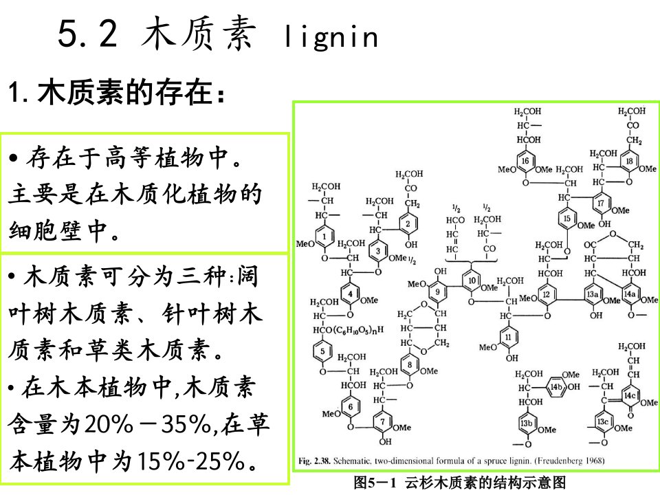 木质素