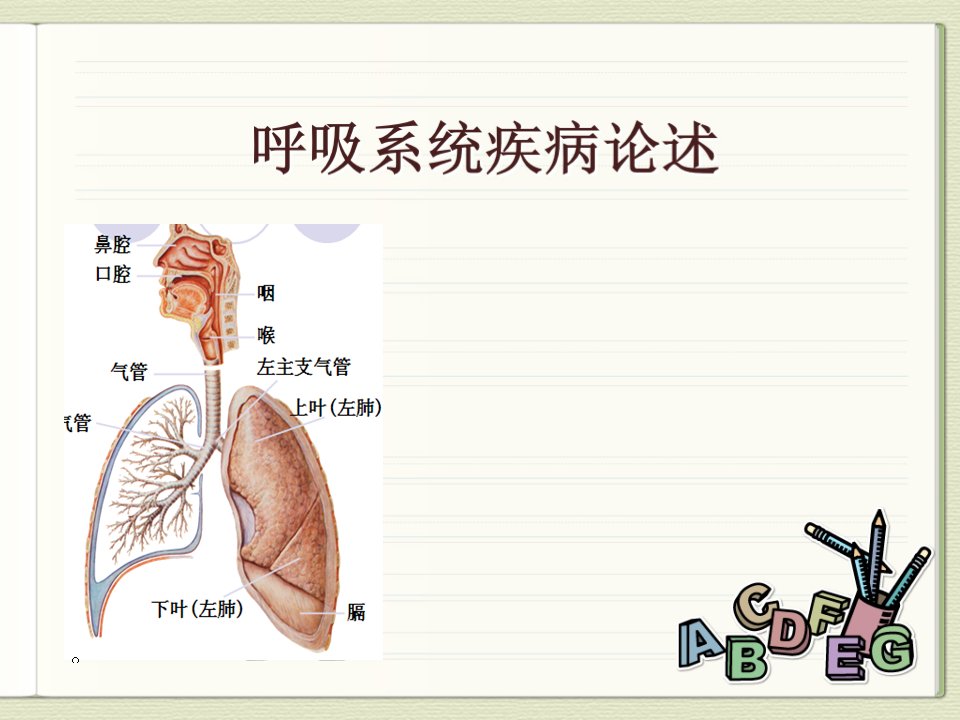 呼吸系统疾病概论课件