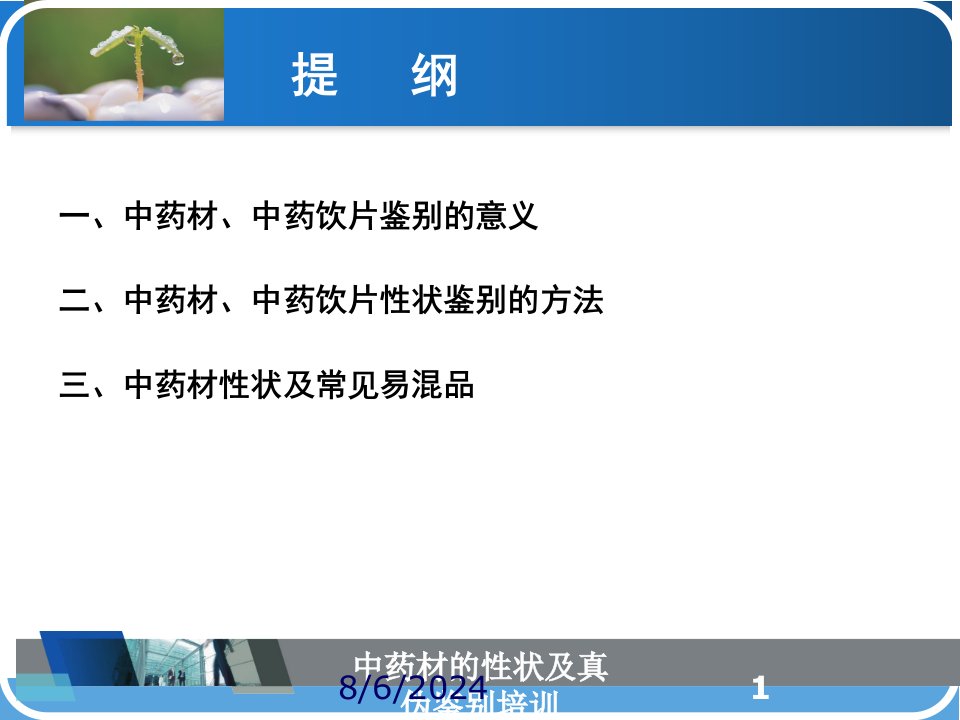 2021年中药材的性状及真伪鉴别培训