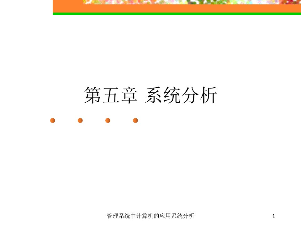 管理系统中计算机的应用系统分析课件