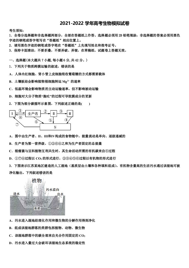 吉林省长春实验中学2021-2022学年高三（最后冲刺）生物试卷含解析