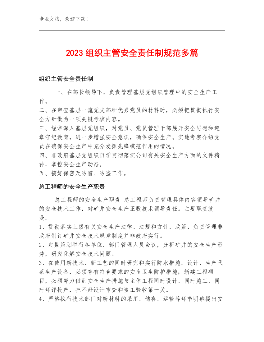 2023组织主管安全责任制规范多篇