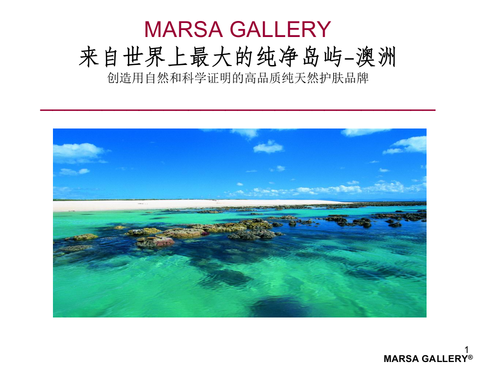 澳洲品牌面膜玛莎格芮MARSA-GALLERYPPT课件