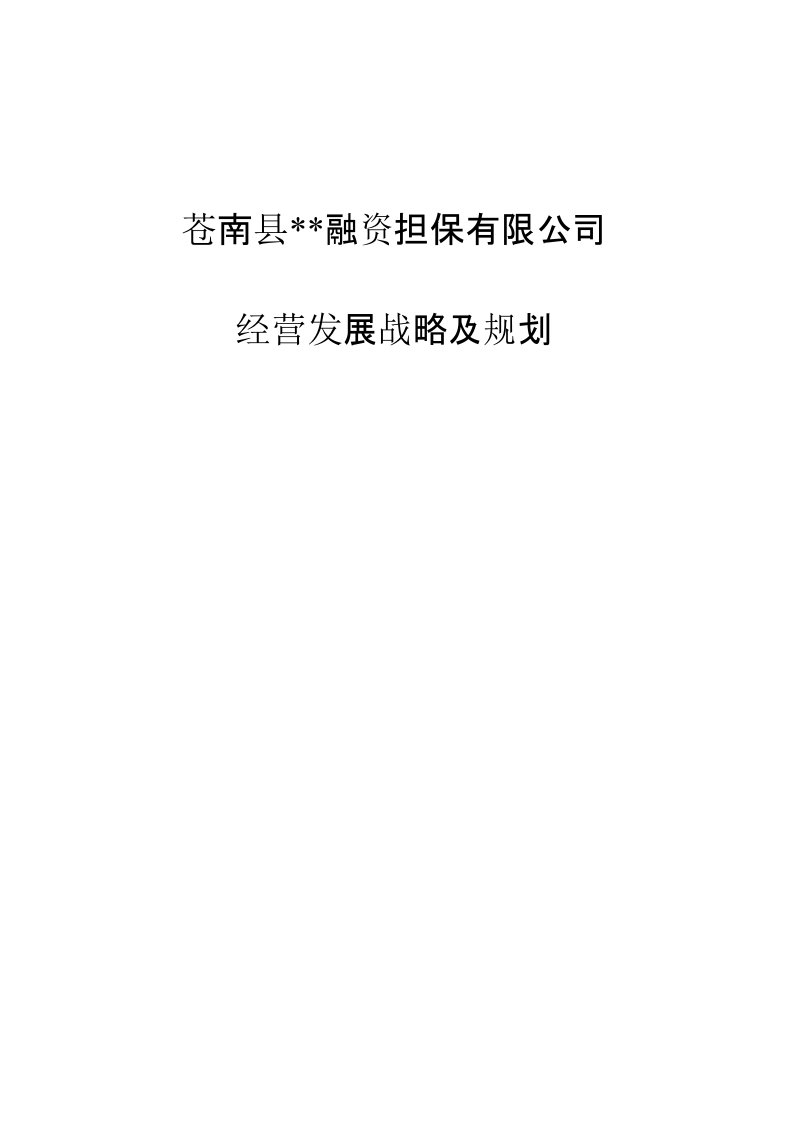 融资担保有限公司经营发展战略及规划