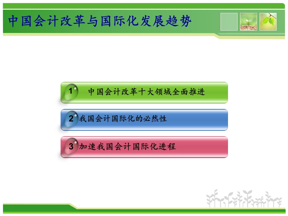 中国会计改革与国际化进程37页PPT