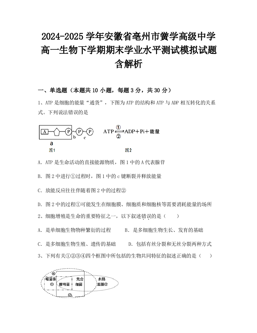 2024-2025学年安徽省亳州市黉学高级中学高一生物下学期期末学业水平测试模拟试题含解析