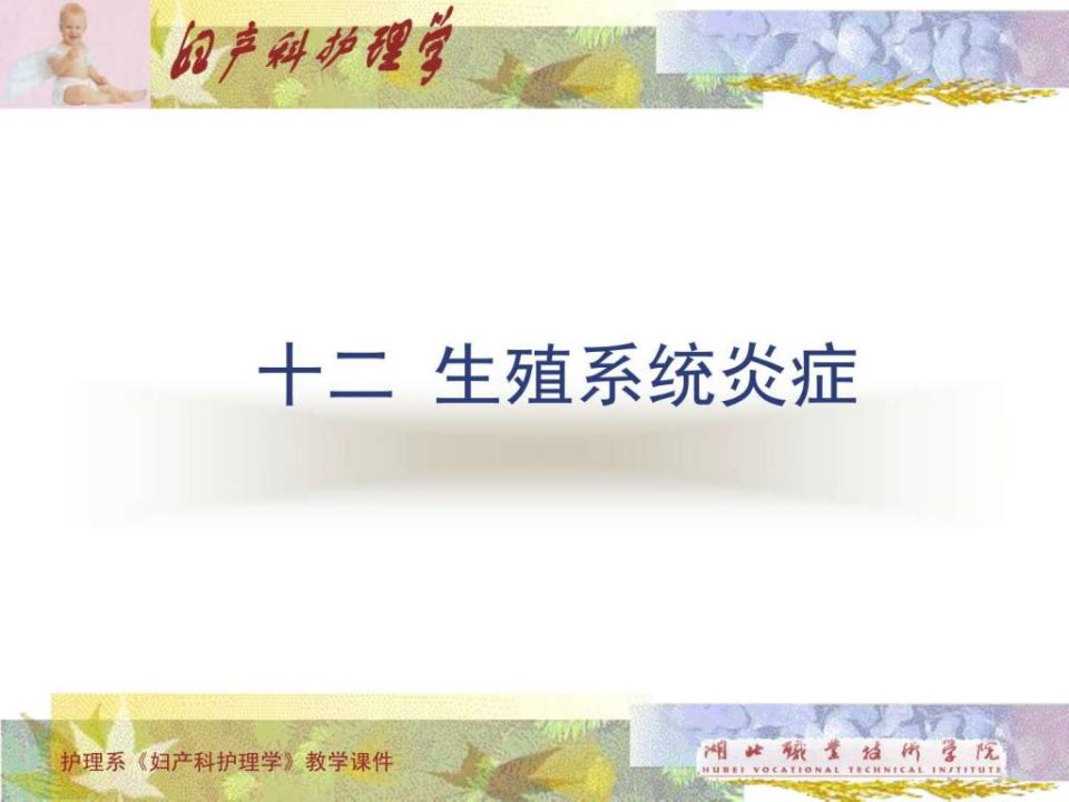 185妇产科护理课件_生殖系统炎症2.ppt