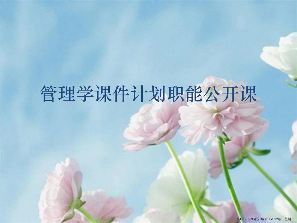 管理学计划职能公开课