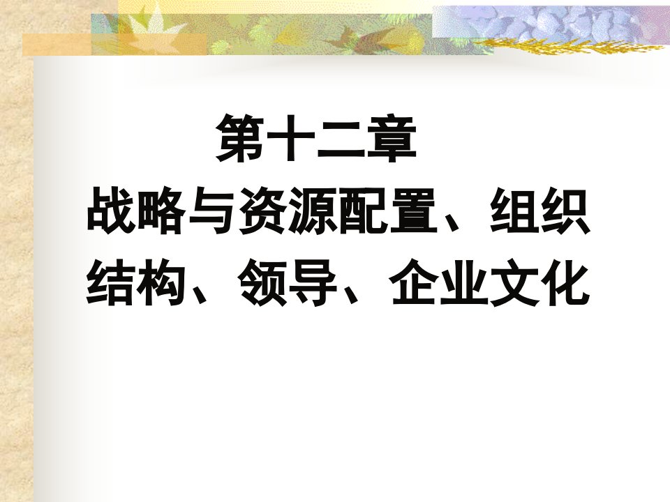 B12战略与资源配置、组织结构、领导、企业文化(本科