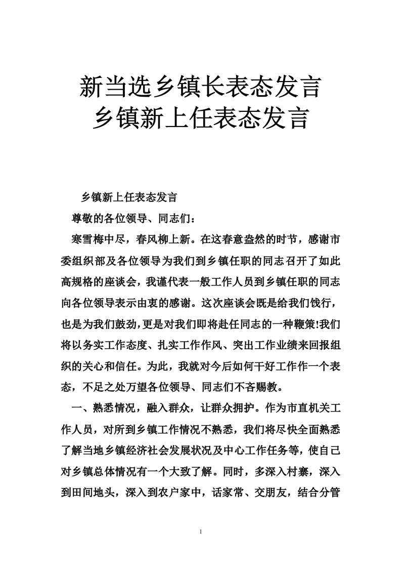 新当选乡镇长表态发言