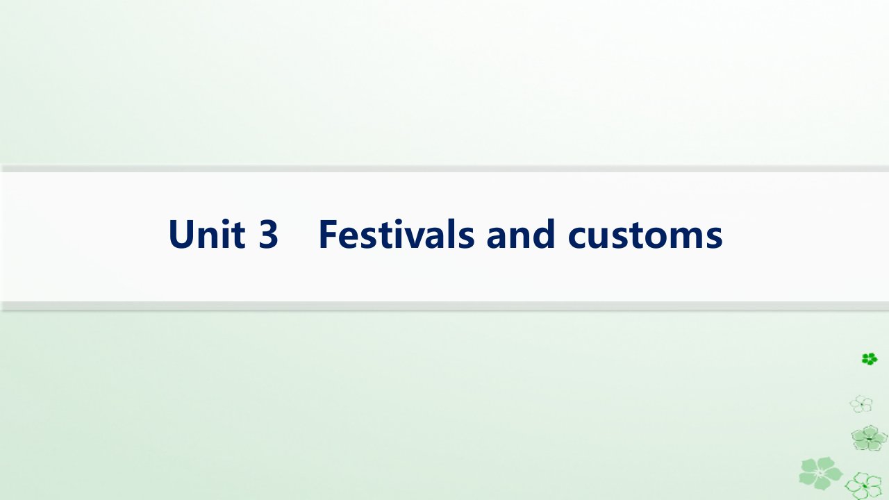 适用于新高考新教材备战2025届高考英语一轮总复习Unit3Festivalsandcustoms课件牛津译林版必修第二册