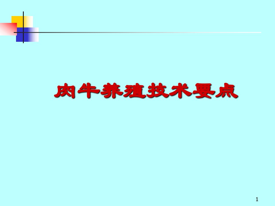 肉牛养殖技术要点介绍教学PPT课件