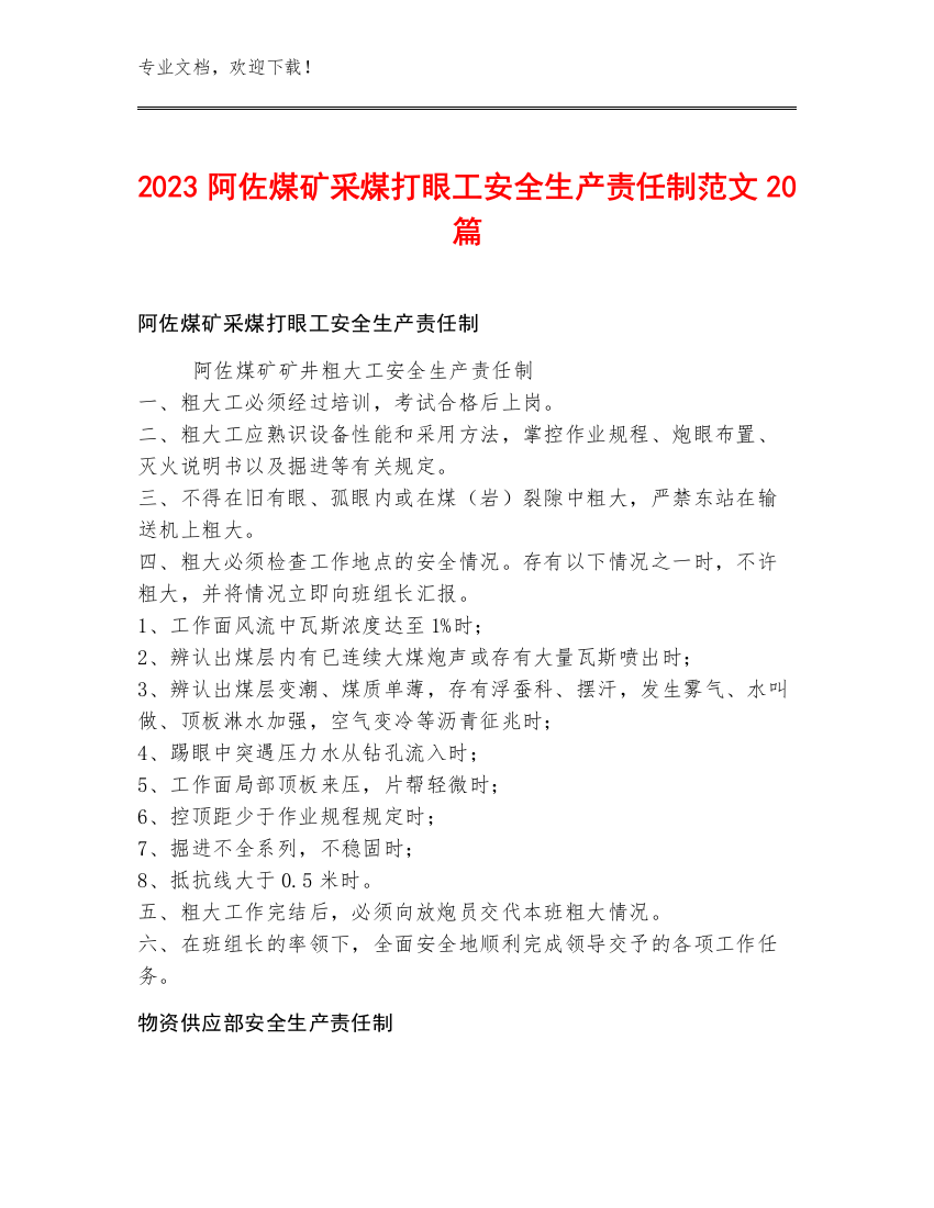 2023阿佐煤矿采煤打眼工安全生产责任制范文20篇