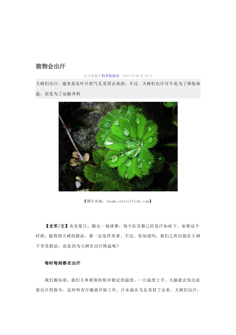 植物会出汗