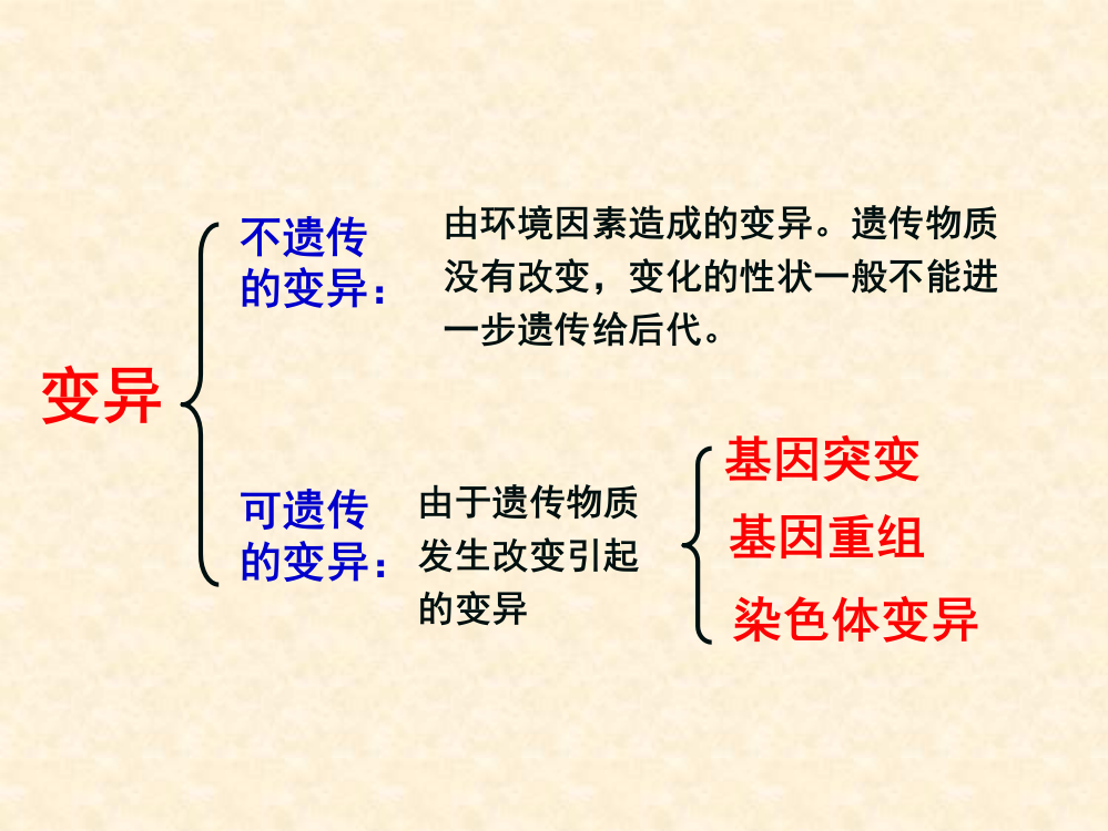 基因突变和基因重组-2ppt课件