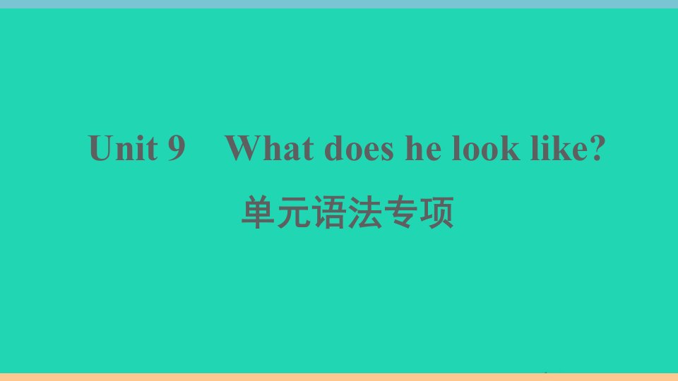 通用版七年级英语下册Unit9Whatdoeshelooklike单元语法专项作业课件新版人教新目标版