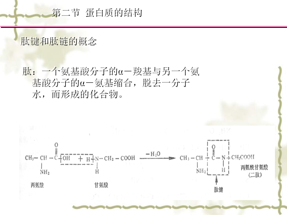 蛋白质YQ2