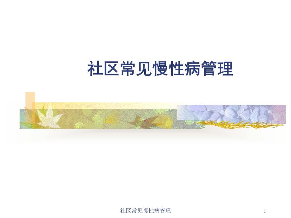 社区常见慢性病管理课件