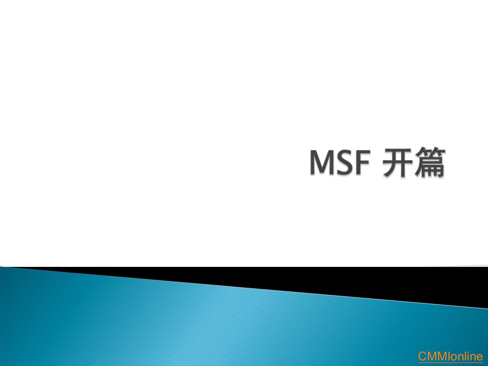 MSF项目管理基本原则及团队模型