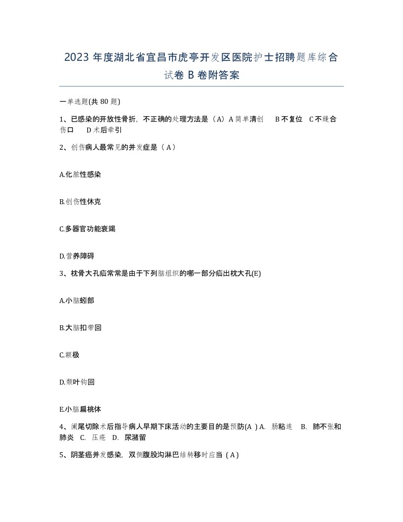 2023年度湖北省宜昌市虎亭开发区医院护士招聘题库综合试卷B卷附答案