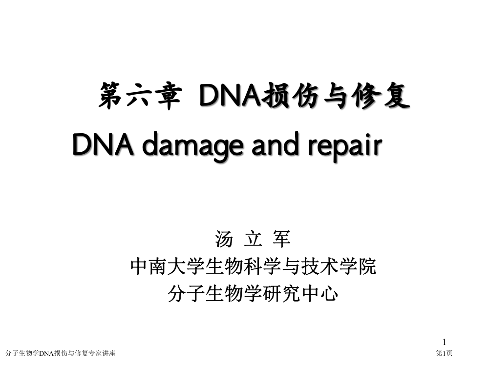 分子生物学DNA损伤与修复专家讲座