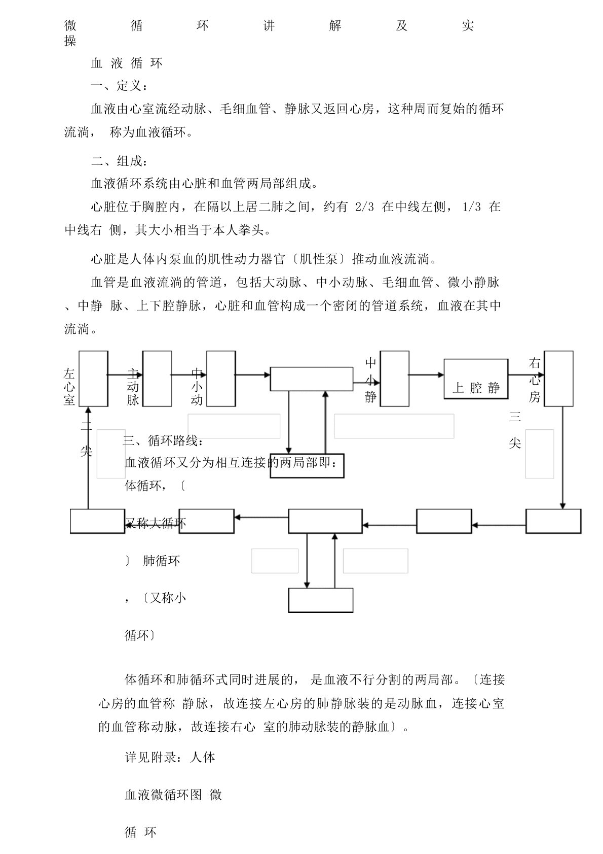 微循环讲解及实操