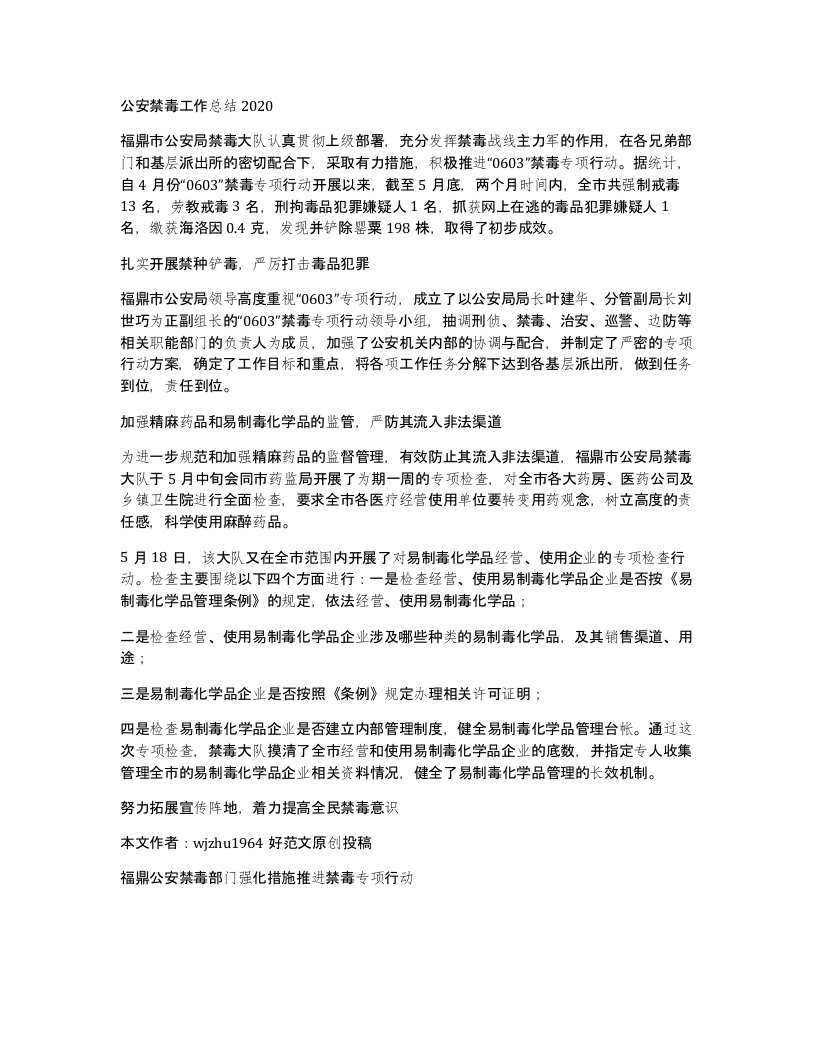 公安禁毒工作总结2020