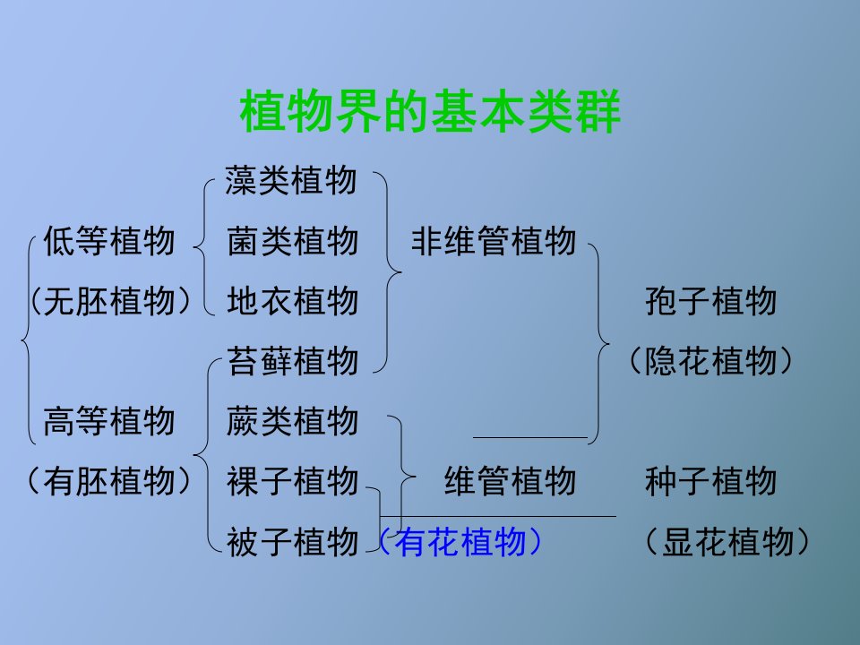 普通生物学第十章植物的类群