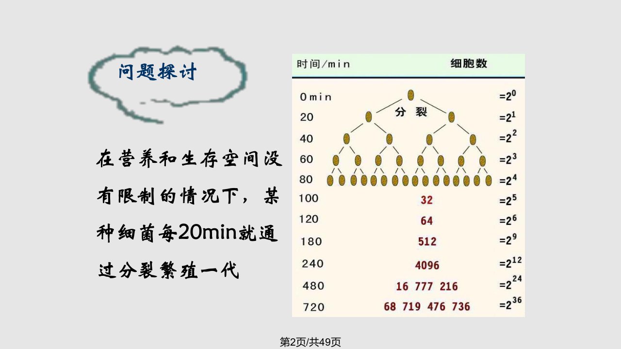 种群数量变化