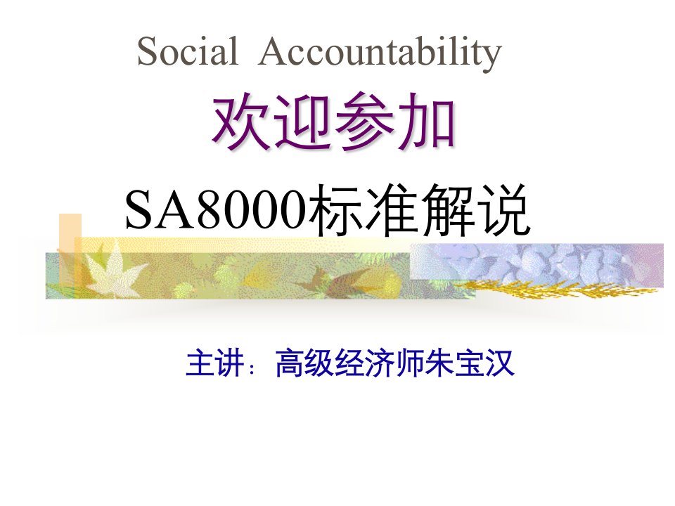 SA8000-社会责任国际标准讲解