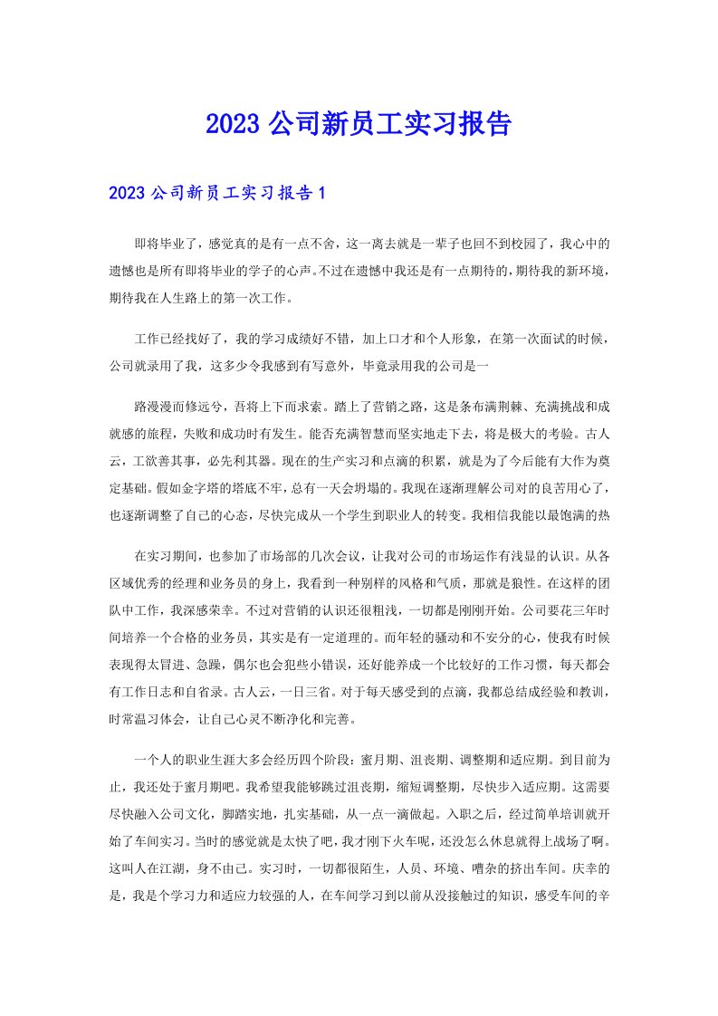 2023公司新员工实习报告