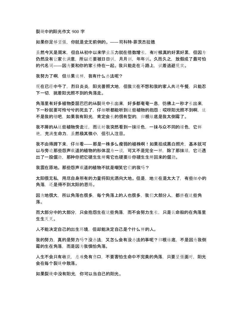 裂缝中的阳光作文900字