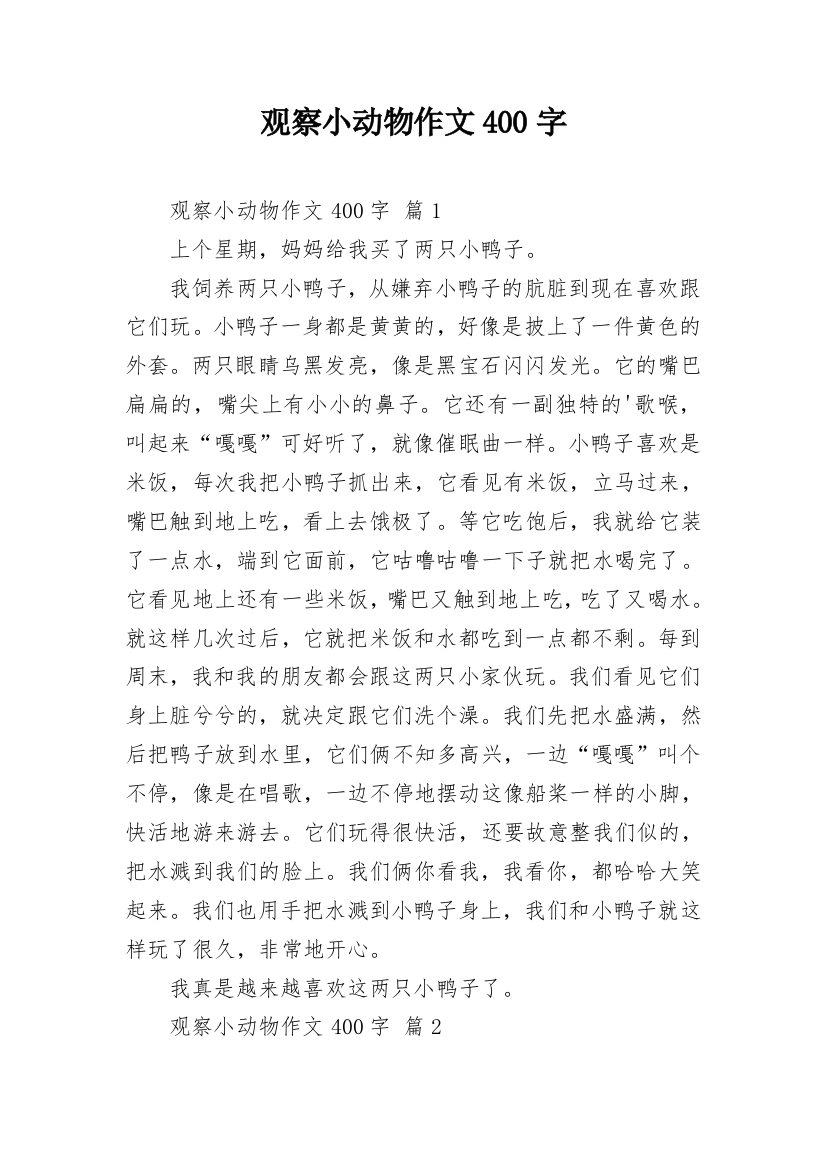 观察小动物作文400字