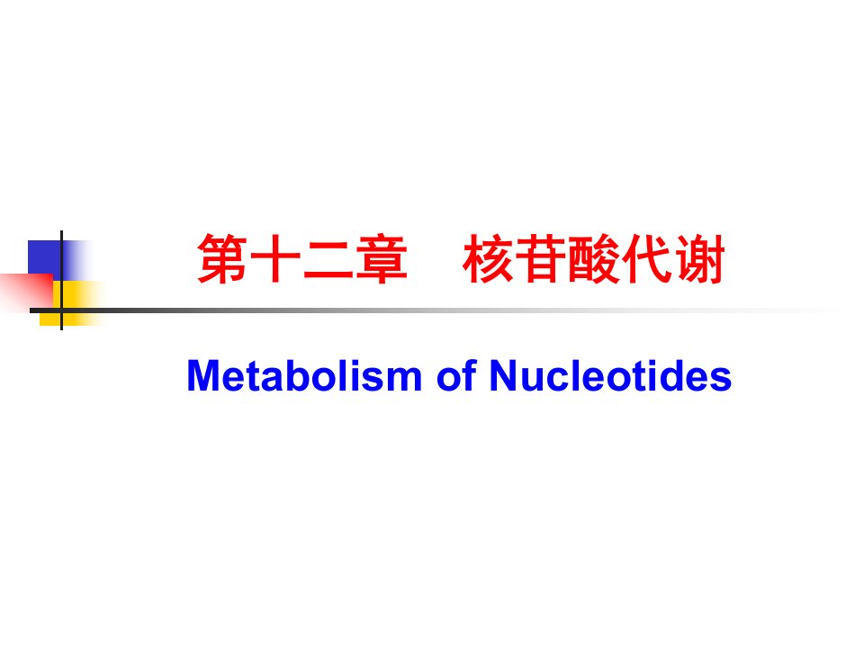 第十二章核苷酸代谢(1)